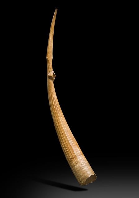 Denver Felony Defense Lawyer