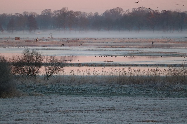 Denver Flood Cleanup