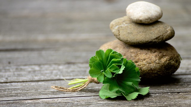 Denver Sewage Remediation