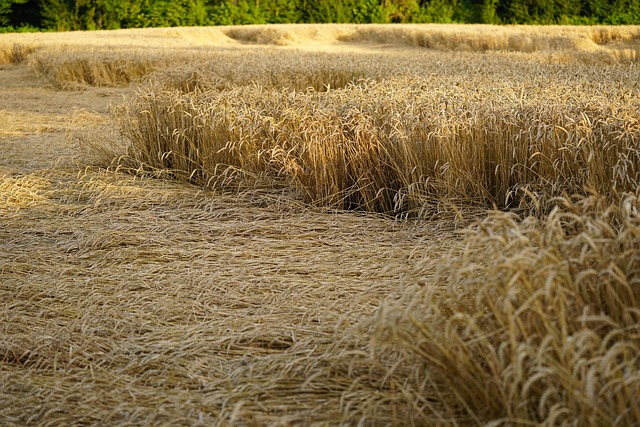 Denver Water Damage Experts