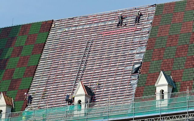 Denver Water Restoration