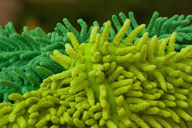 Drain Cleaning Arvada