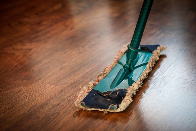 Drain Cleaning Arvada