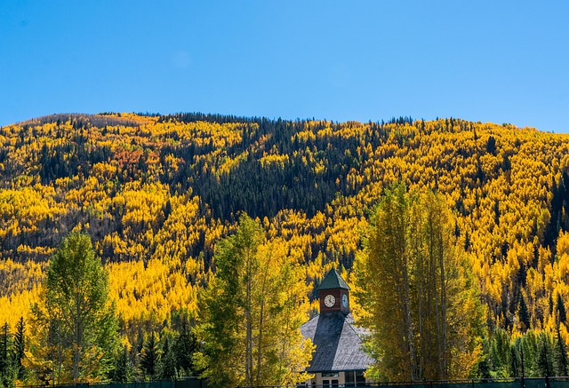 DUI Checkpoint Attorney Colorado