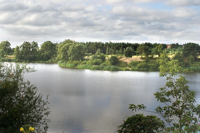 DUI License Suspension Lawyer Colorado