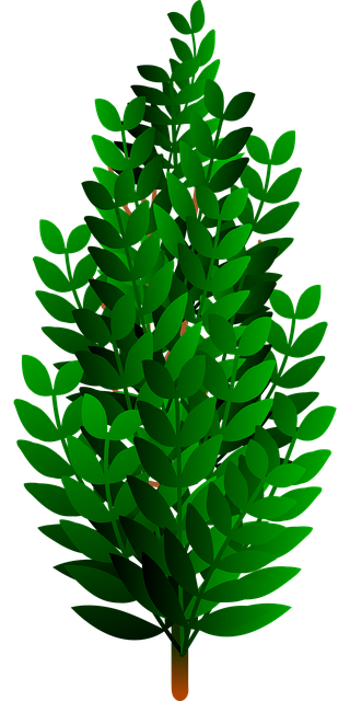 Eco-Friendly Flooring Denver