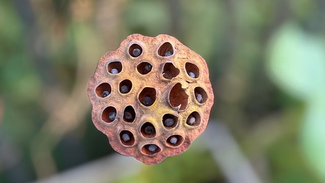 Eco-Friendly Flooring Denver