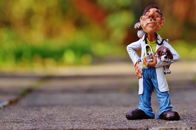 Emergency Plumbing Services Arvada