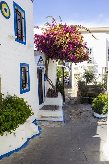 Flooded Basement Cleanup Denver