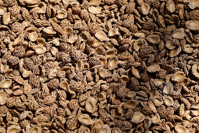 Flooring Showroom Denver