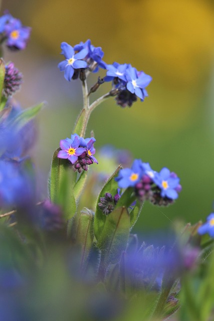 Gas Plumber Near Me Arvada