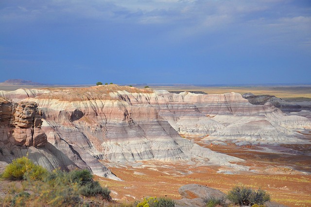 Grand Theft Attorney Colorado