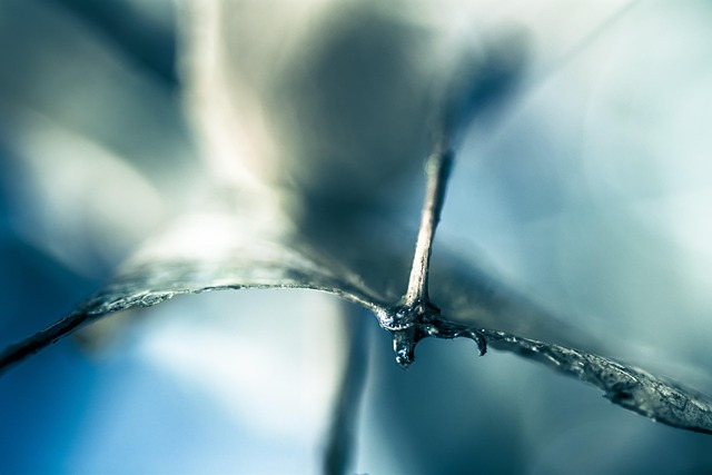 Home Water Filter Arvada