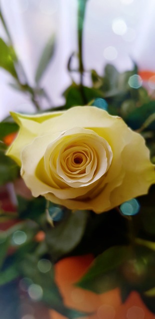 Home Water Filter Arvada