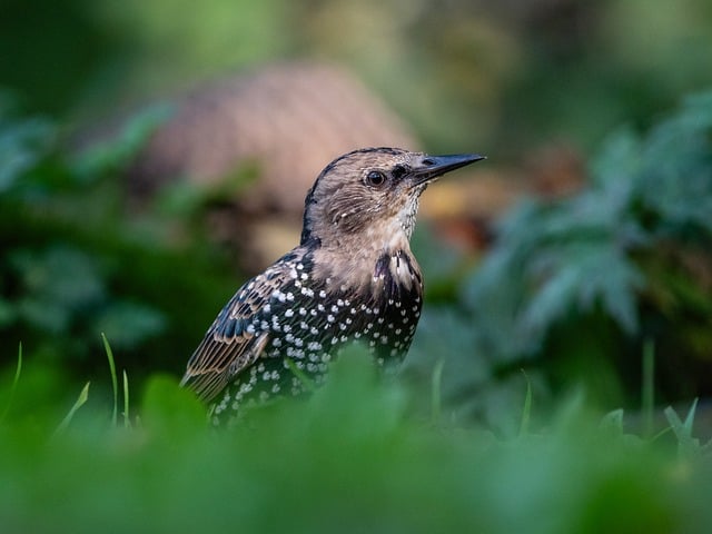 Juvenile Drug Crime Attorney Denver