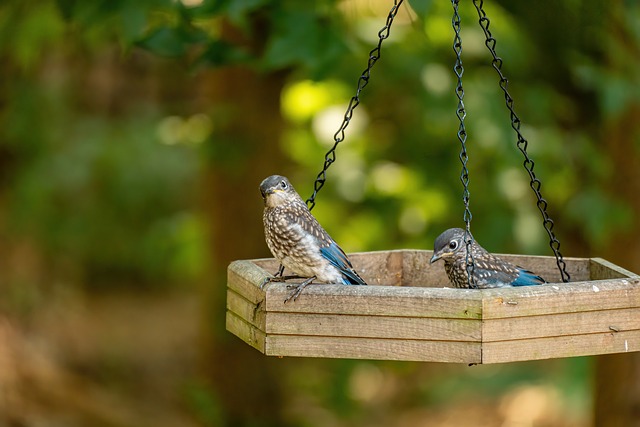 Juvenile Drug Crime Attorney Denver