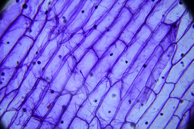 Juvenile Drug Crime Attorney Denver