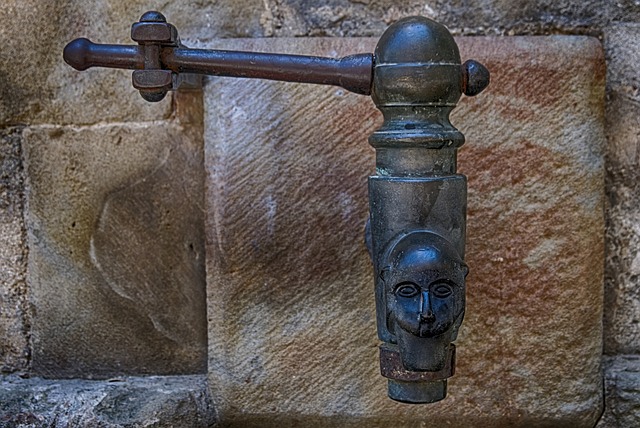 Kitchen Plumbing Services Arvada