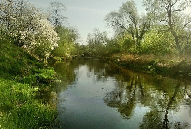 Licensed Plumber Arvada