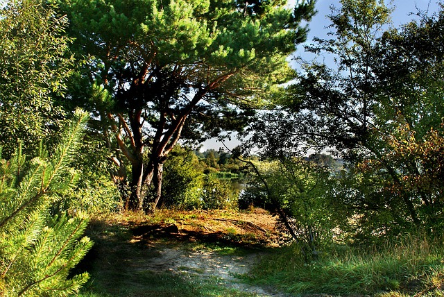 Licensed Plumber Arvada