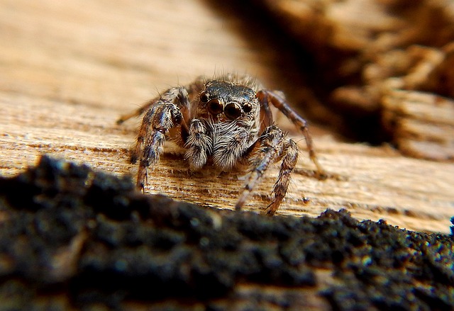 Licensed Plumber Arvada