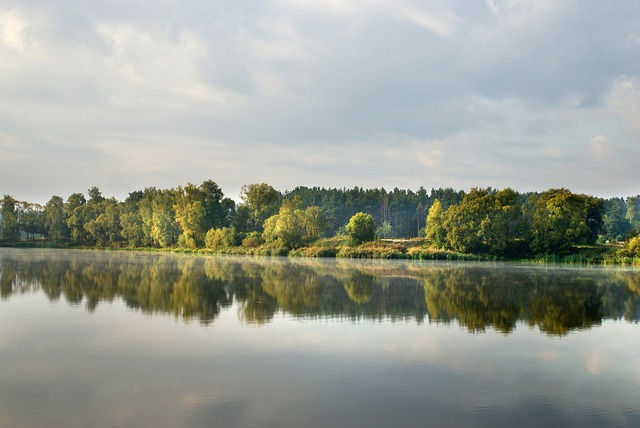 Licensed Plumber Arvada