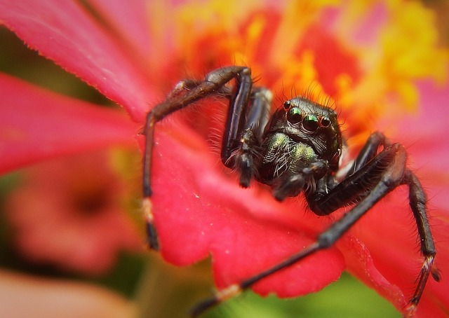 Licensed Plumber Arvada