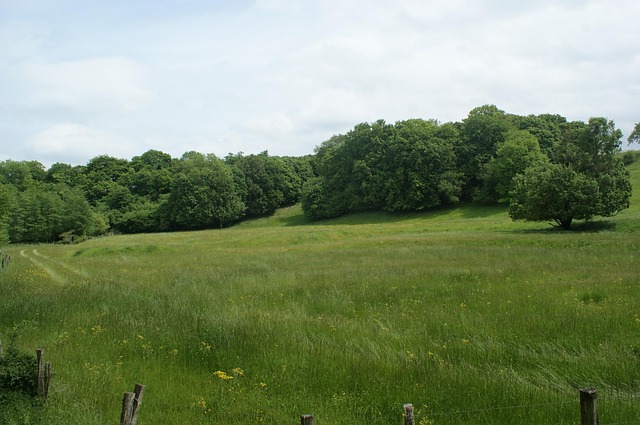 Local Plumber Arvada