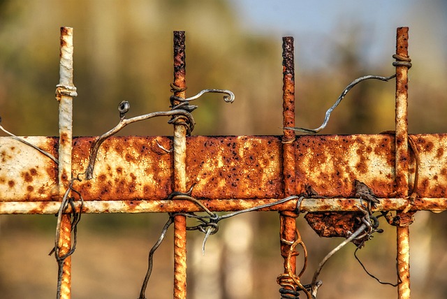 Mold Inspection Denver