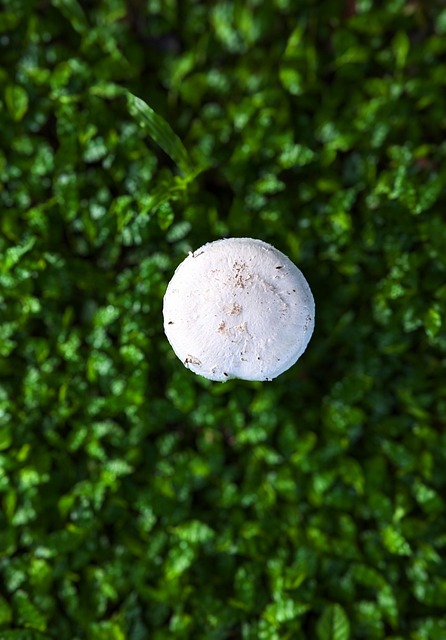 Mold Remediation Denver