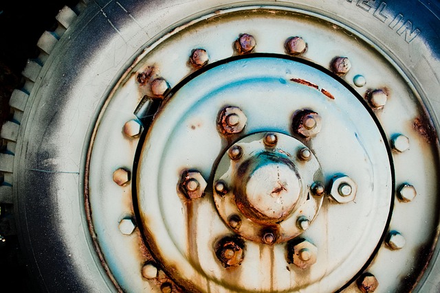 Mold Remediation Denver