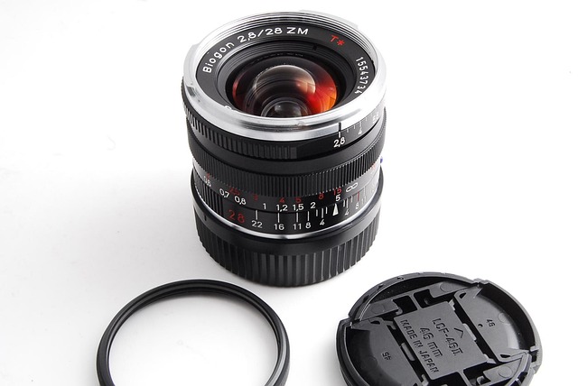 Mold Remediation Denver