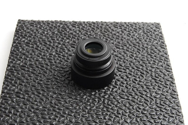 Mold Remediation Denver