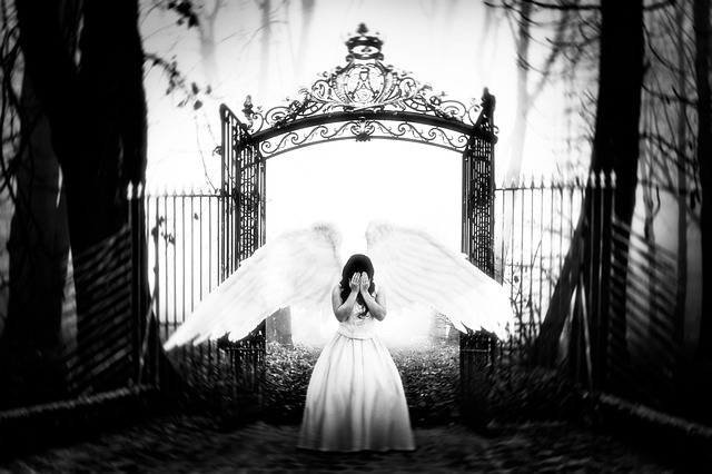 Pipe Leak Repair Arvada