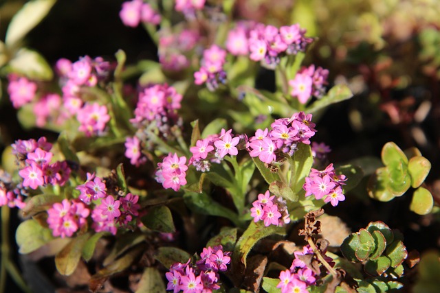 Plumber Near Me Arvada