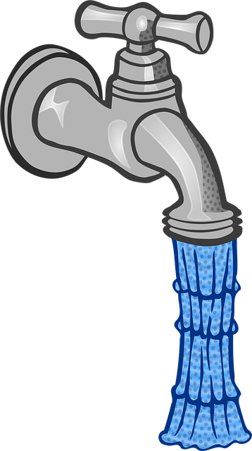 Plumbing Maintenance Arvada