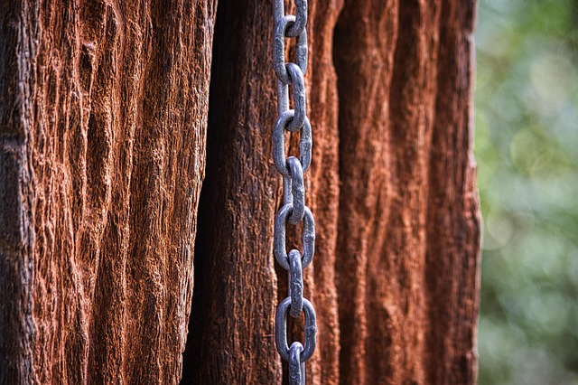 Refinish Hardwood Floors Denver