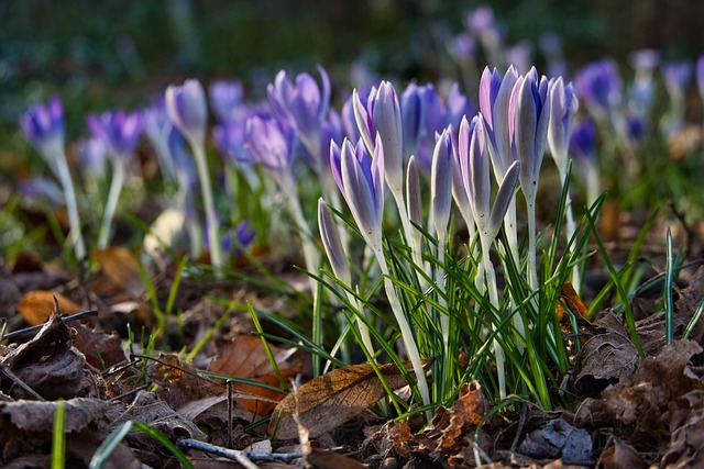 Refinish Hardwood Floors Denver