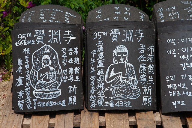 Repiping Services Arvada