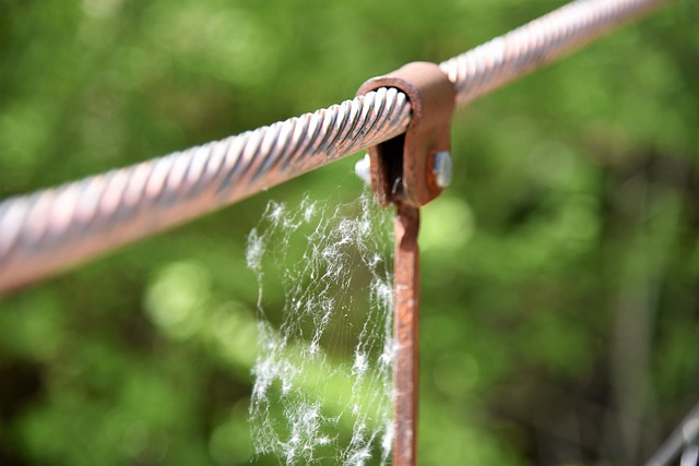 Sewage Backup Cleanup Denver