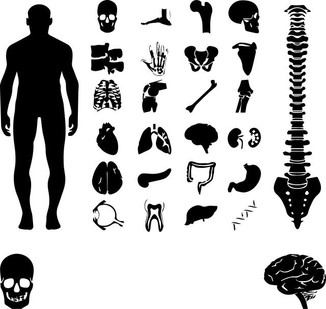 Sewage Ejector System Arvada