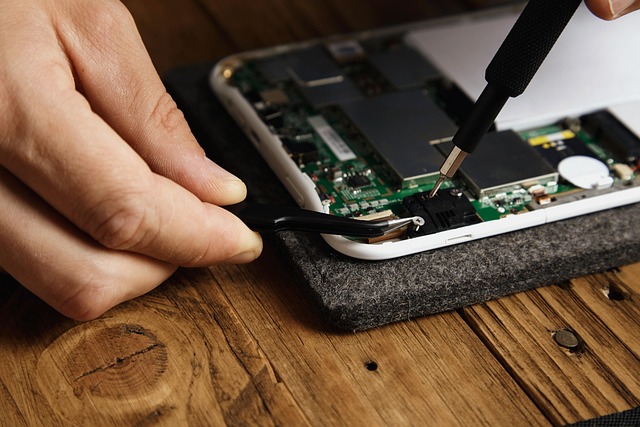 Sewer Repair Services Arvada