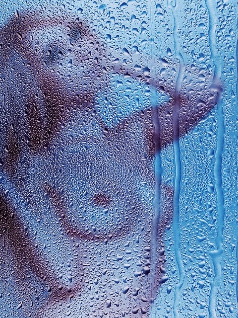 Shower Plumbing Services Arvada