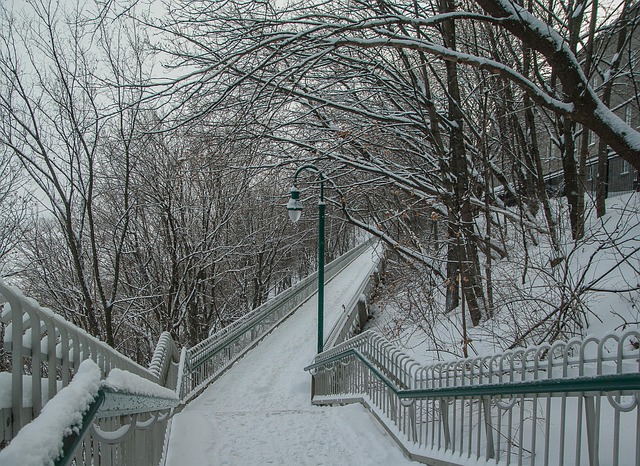 Stair Runners Denver