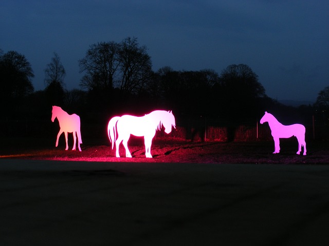 Tankless Water Heater Installation Arvada