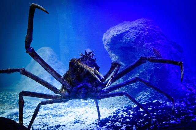 Under 21 DUI Attorney Denver