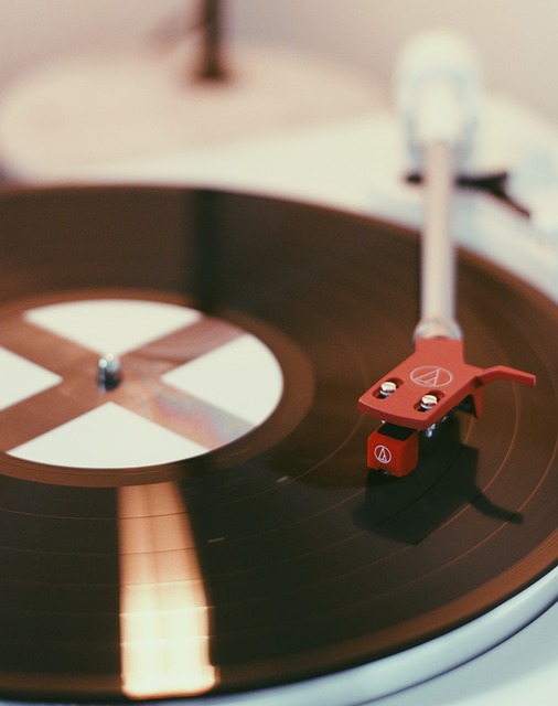 Vinyl Flooring Denver