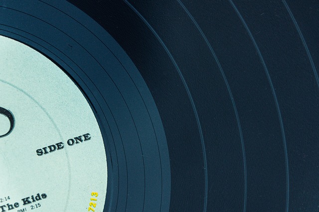 Vinyl Flooring Denver