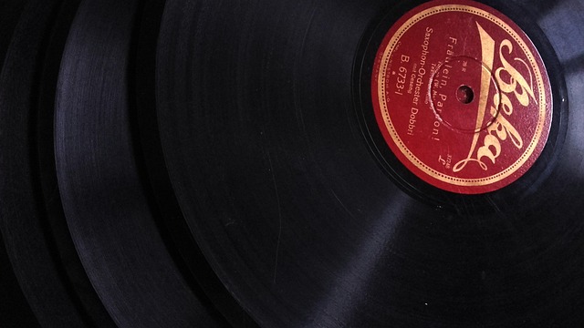 Vinyl Flooring Installation Denver