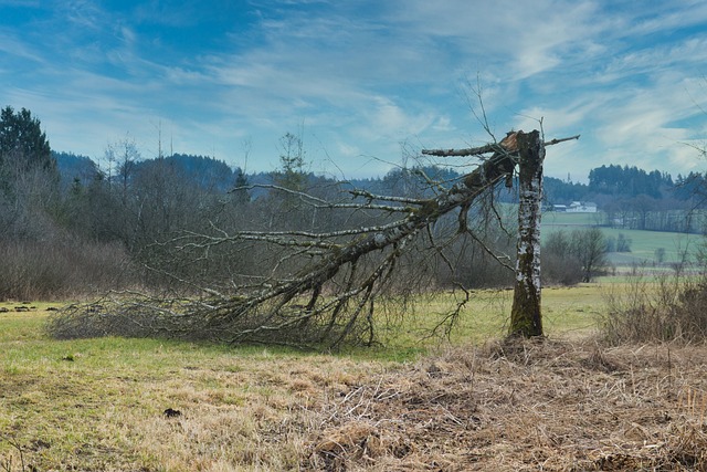 Water Damage Recovery Denver
